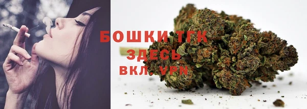 гидра Армянск