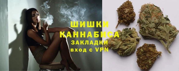 гидра Армянск