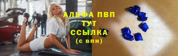 винт Арсеньев