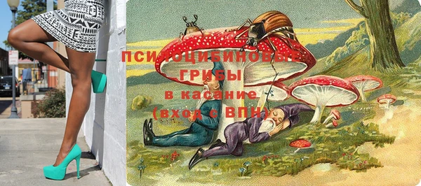 гидра Армянск
