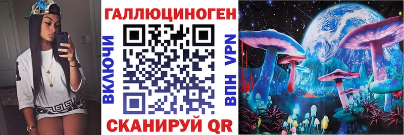 Псилоцибиновые грибы Psilocybine cubensis Тихорецк