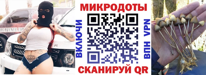 Псилоцибиновые грибы ЛСД  Купить где  Тихорецк 